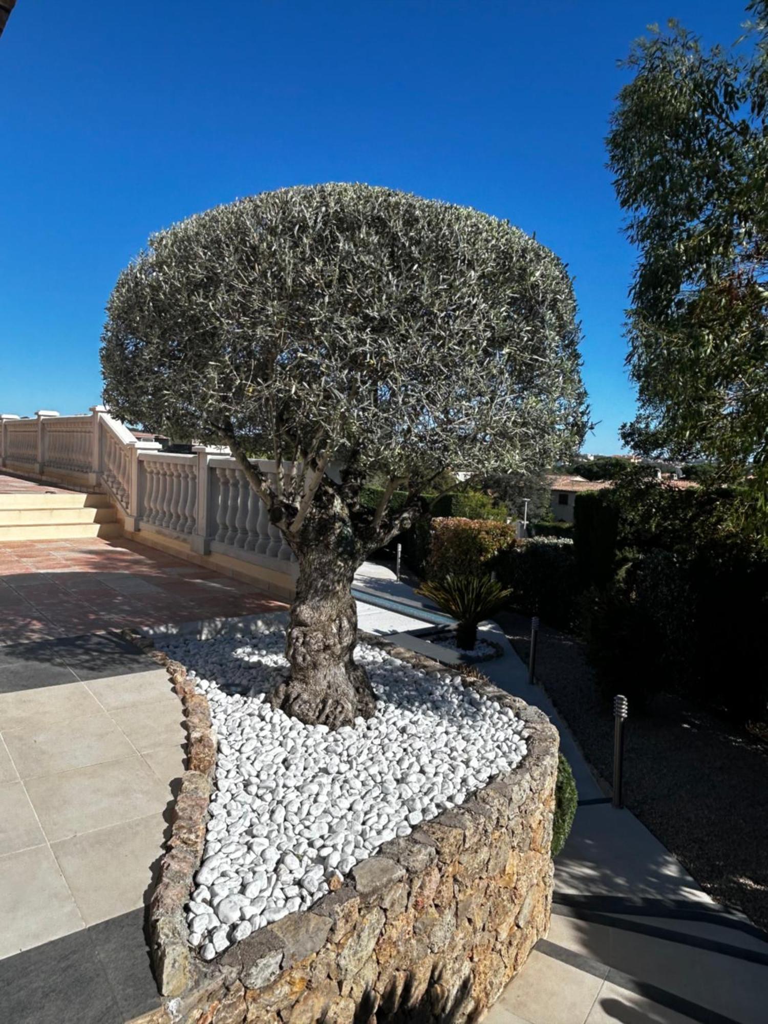 Villa Riposa Frejus Luaran gambar